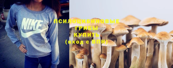 круглые Алзамай
