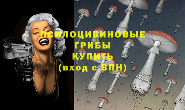 круглые Алзамай